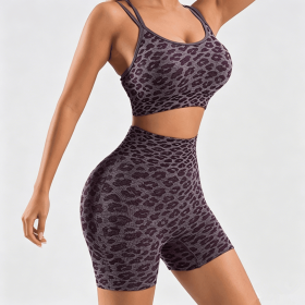 Women's Leopard Print Workout Sets 2 Piece Outfits Crop Tank Tops and Shorts Sports Yoga Gym Tracksuit (Color: Wine Red, size: M)